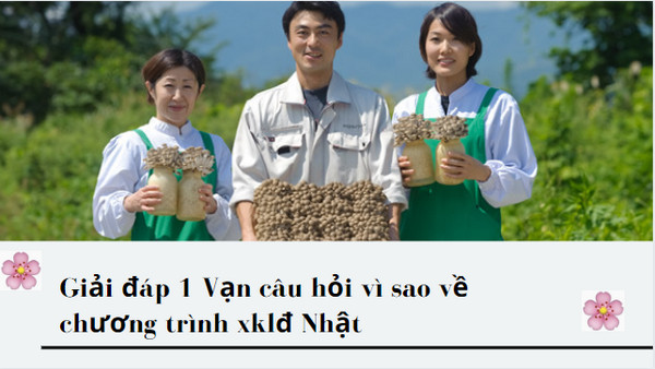 Tổng hợp các vấn đề NÓNG NHẤT về chương trình XKLĐ Nhật cho người lao động