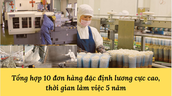 Tổng hợp 10 đơn hàng đặc định lương cực cao, thời gian làm việc 5 năm