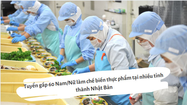 Tuyển gấp 60 Nam/Nữ làm chế biến thực phẩm tại nhiều tỉnh thành Nhật Bản