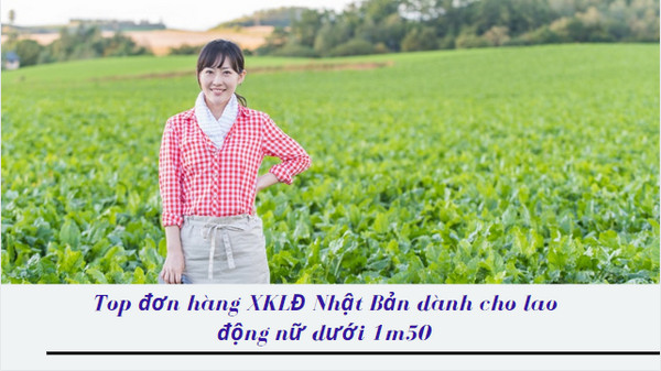 Top đơn hàng XKLĐ Nhật Bản dành cho lao động nữ dưới 1m50