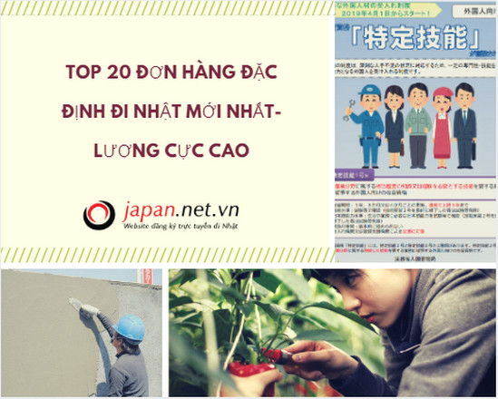 Top 20 đơn hàng đặc định đi Nhật mới nhất- LƯƠNG CỰC CAO