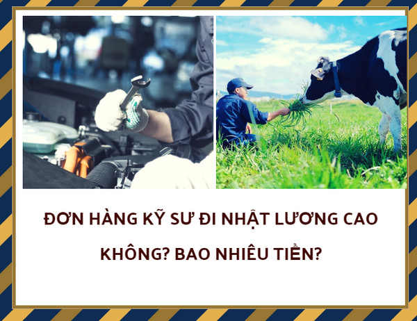 Đơn hàng kỹ sư đi Nhật lương cao không? bao nhiêu tiền?