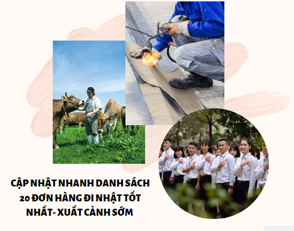 Cập nhật nhanh danh sách 20 đơn hàng đi Nhật tốt nhất- XUẤT CẢNH SỚM