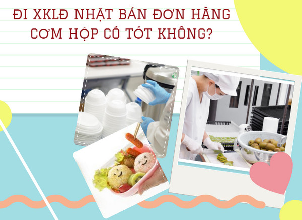 Đơn hàng cơm hộp đi Nhật có tốt không? Lương cao không?