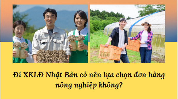 Đi XKLĐ Nhật Bản có nên lựa chọn đơn hàng nông nghiệp không?