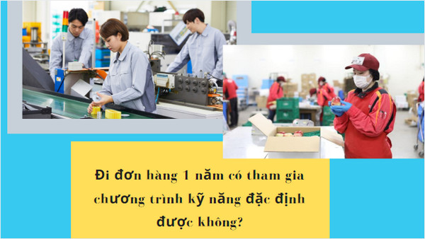 Đi đơn hàng 1 năm có tham gia chương trình kỹ năng đặc định được không?