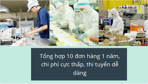 Tổng hợp 10 đơn hàng 1 năm, chi phí cực thấp, thi tuyển dễ dàng